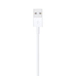 Câble Lightning vers USB  1 m Original Apple